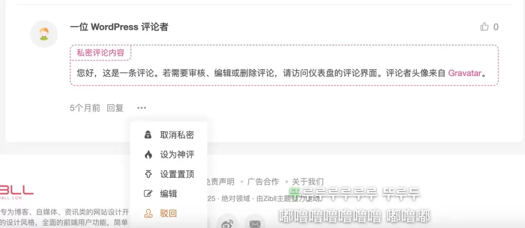 图片[2]-子比主题增加私密评论-苏晨博客